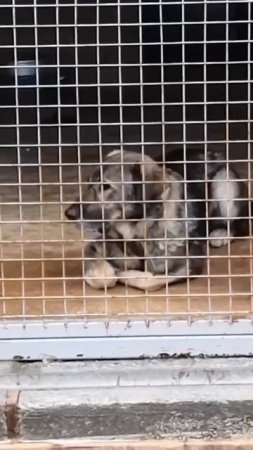 Как оказалось, в МП г.Перми тоже есть котики! 🐈