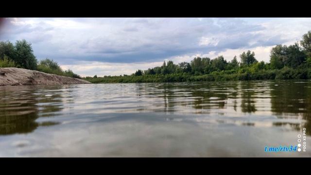 Природа. Михайловский район. Волгоградская область #природа