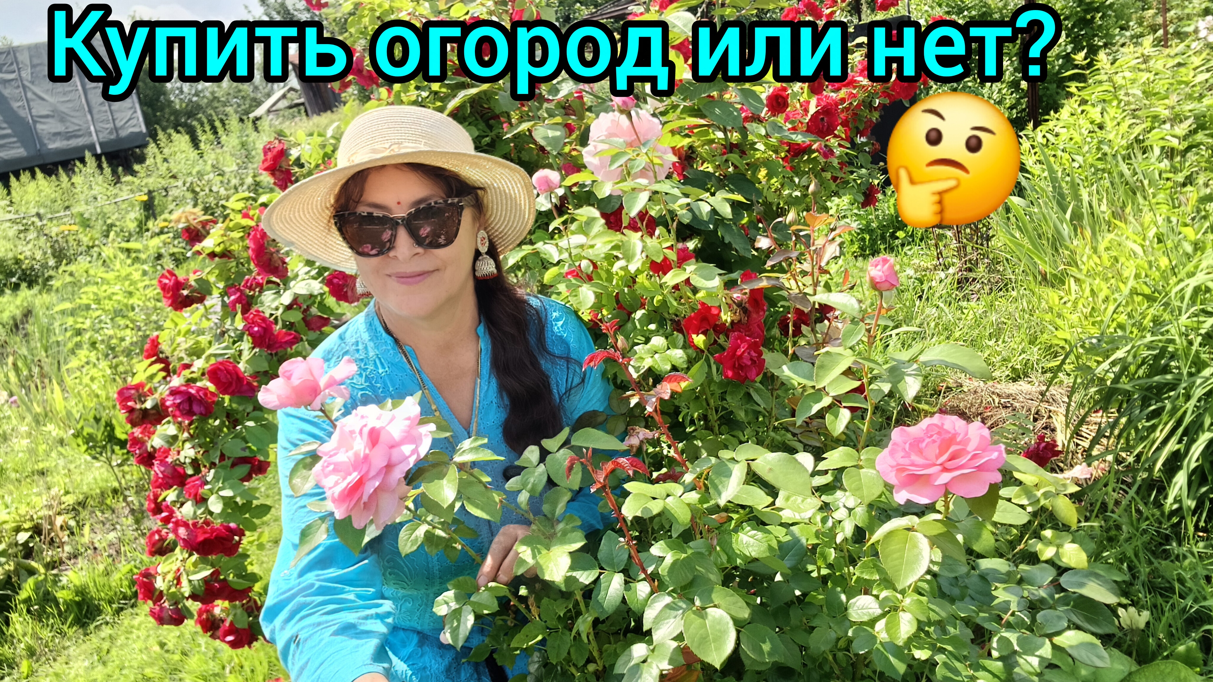 Нападение паутов-слепней на огороде