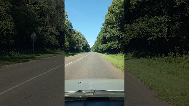 1000117305.mp4