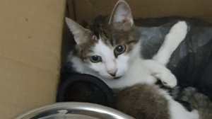 Распаковка посылок и вчерашнее ЧП