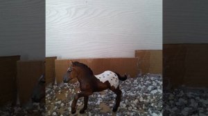 ♡ʙᴄᴇ ʍои ᴧоɯᴀди 𝚂𝚌𝚑𝚕𝚎𝚒𝚌𝚑 и 𝙲𝚘𝚕𝚕𝚎𝚌𝚝𝙰🐴♡