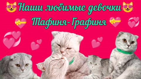 😻Наши любимые девчонки😻#сезонконтентаRUTUBE