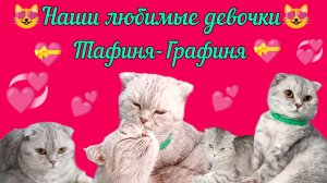 😻Наши любимые девчонки😻#сезонконтентаRUTUBE