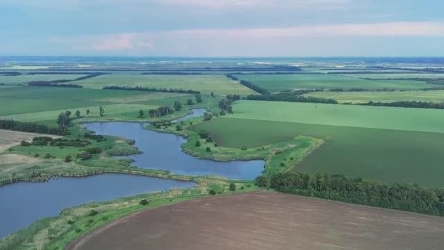 В Новосибирской области