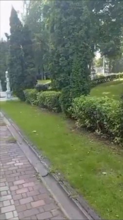 пидманула пидвыла