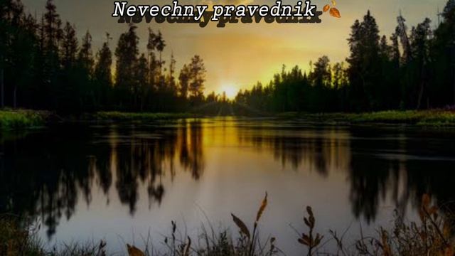 Нашиды на ночь смотреть онлайн