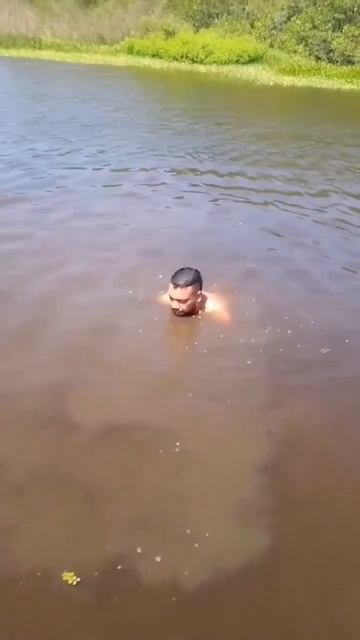 Когда под водой к тебе что-то прикоснулось...