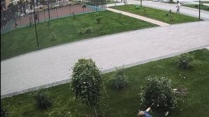 В ЖК "Яблоневые сады" детки устроили полный разнос зелёным насаждениям. Родители, узнали своих чада?