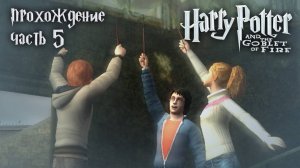 Ну здравствуй, Гриндилоу! / Гарри Поттер и Кубок Огня / 5 часть — прохождение 101%