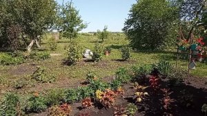 день отдыха, купание, шашлыки