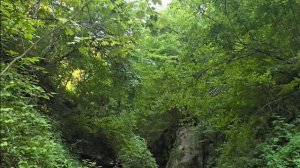 Маршрут по ручью Мишоко