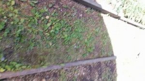 VID_20250713_162655.mp4