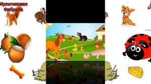 Развивающие Мультики - Тесты для детей 3-4 года. #мультики #мультфильмы #мульт #мультики #фильм
