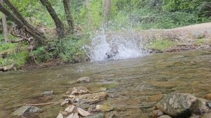 Traxxas summit 1/8 .mp4