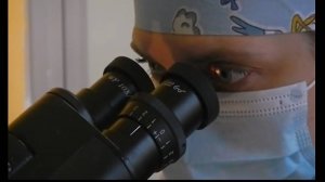 Микромир под микроскопом глазами ветеринарного врача