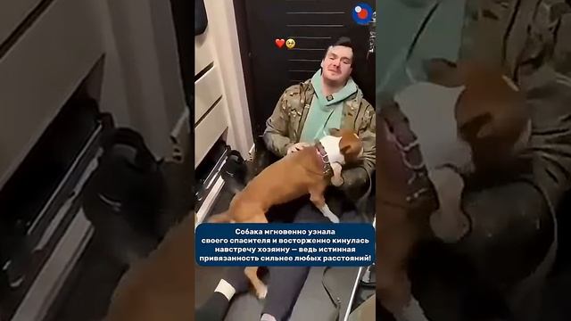 преданные друзья 💔🥹