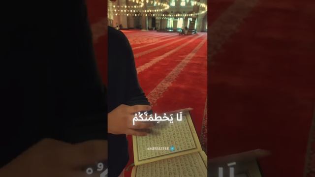 3 научных ЧУДЫ В ОДНОМ АЯТЕ!