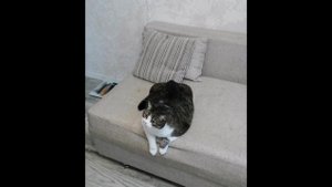 привет от Кети