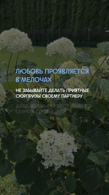 🔥 Скучаете по настоящим эмоциям в отношениях?