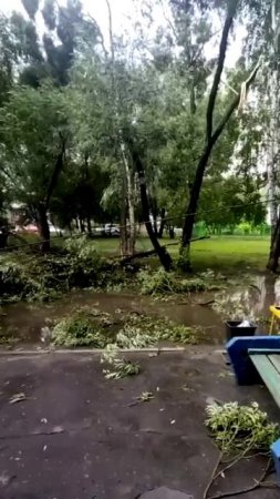 Последствия сильного ветра в Омске