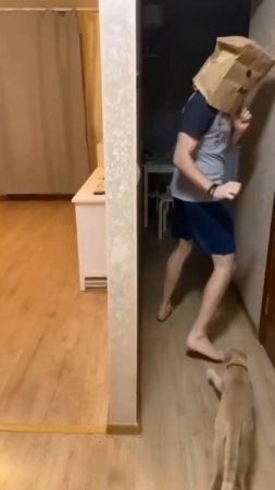 злюка