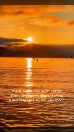 Спокойной ночи