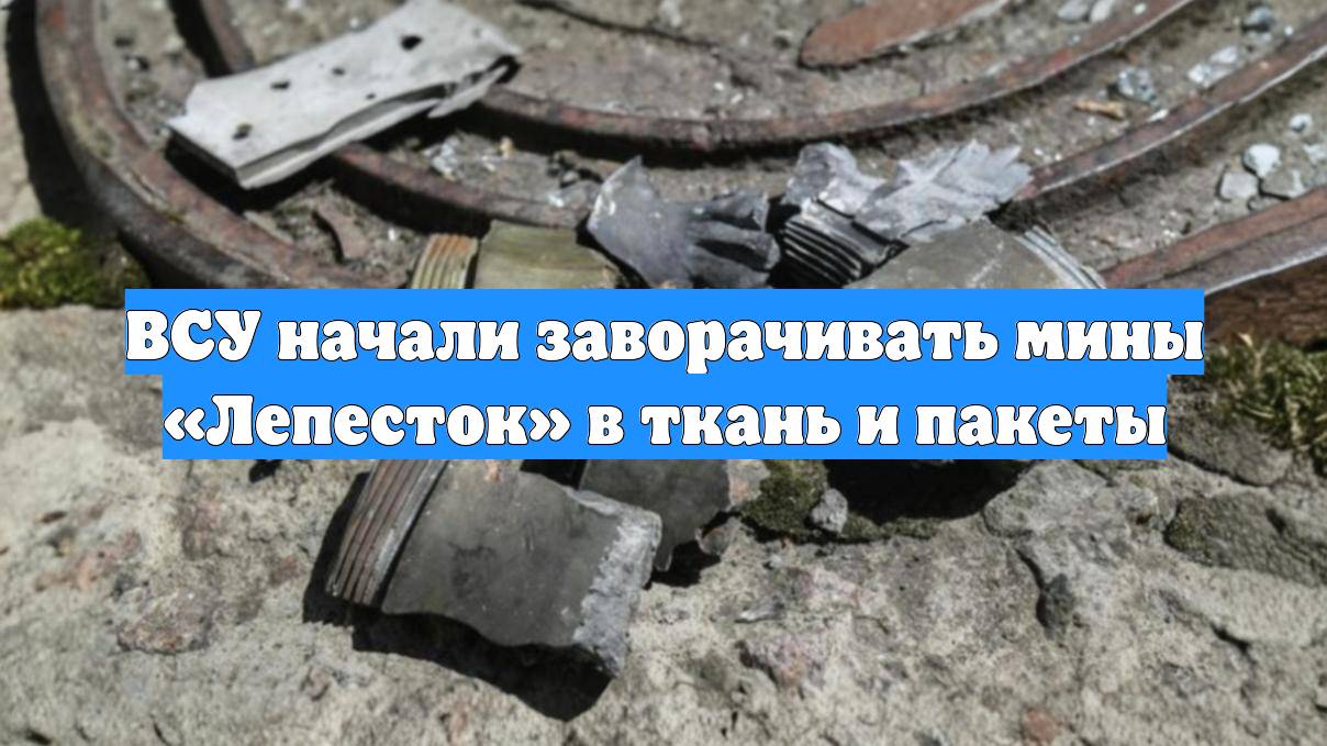 ВСУ начали заворачивать мины «Лепесток» в ткань и пакеты