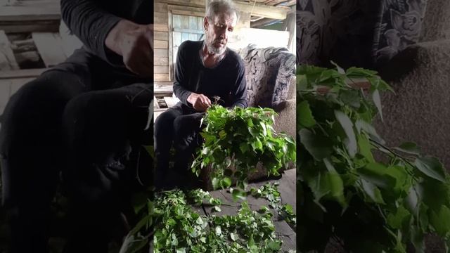 Дед. Истории из жизни