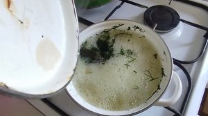 Легкий перекус пельменями с вкусным бульоном из крапивы и укропа.