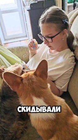 Жена захотела...)