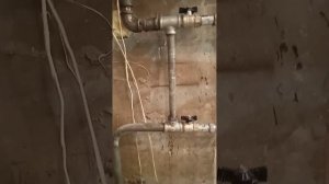 Город Реутов улица Победы 22
