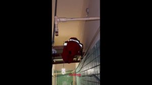 В Химках найдено уютное гнездышко» приезжих специалистов !!!