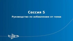 Сессия 5 -  Руководство по избавлению от гнева. Автор Скат Ли