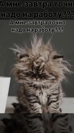 И кто придумал эту работу?!