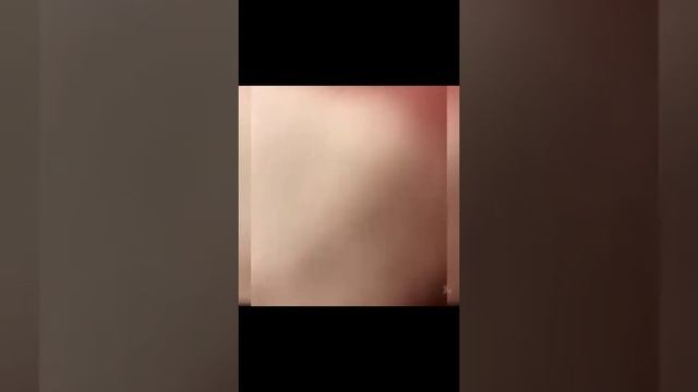 Животные приколы и не только