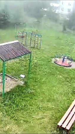 Сильный шквалистый ветер в Омске роняет дерево на детскую площадку