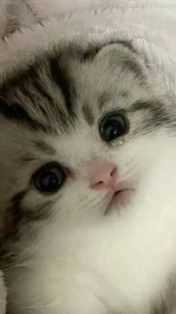 Не знаю как назвать?