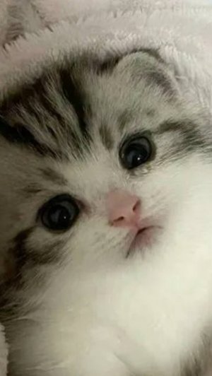 Не знаю как назвать?