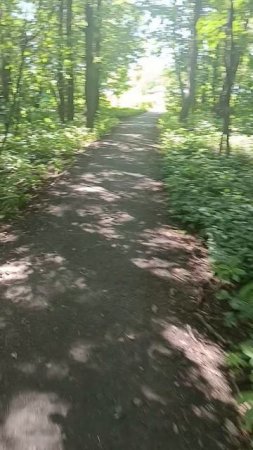 В парке.
