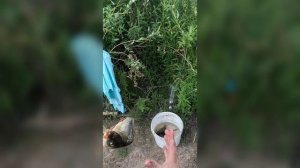 зеркальный карп на поплавок