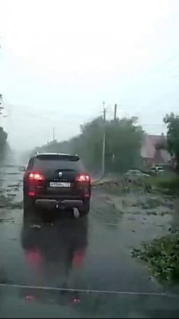 Сильный ветер поломал деревья в Омске на улице Олега Кошевого
