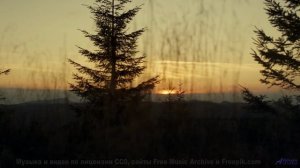 Этот трек - поток эмоций, который соединяет тебя с миром природы - CobWebs -- HoliznaCC0 -- Horseles