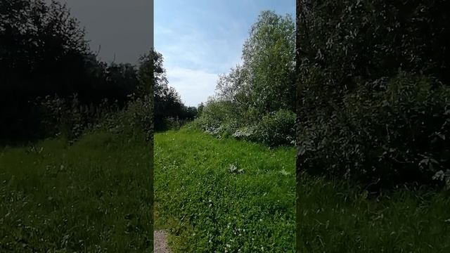 Водоем в жару