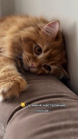1000054395.mp4