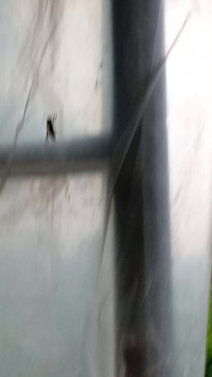 Вот что Оса забыла в комнате?