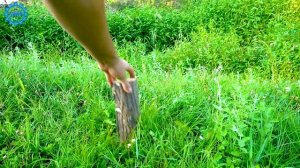 CREATIVE IDEAS AT THE CAMPING SIDE