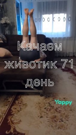 #тренировка #спорт #фитнес #sport #fitness #мотивация #тренер #зож #motivation #пп #gym #здоровье #t