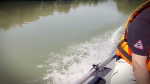 Протока #Sobra#Chekis/