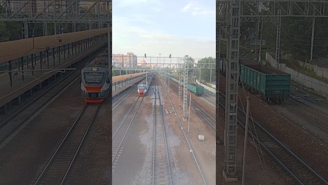 сняла для вас поезда😁